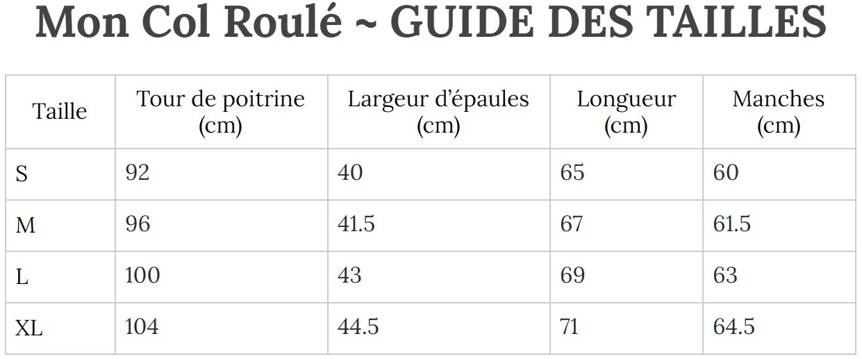Pull Laine Col Roulé Homme Noir – Image 3